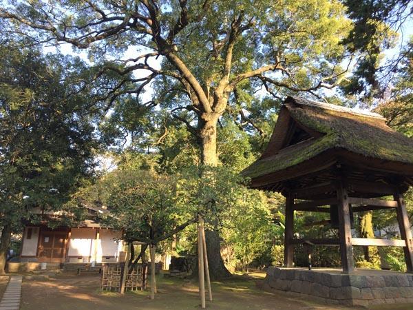 箱根 马斯托米旅馆酒店 外观 照片