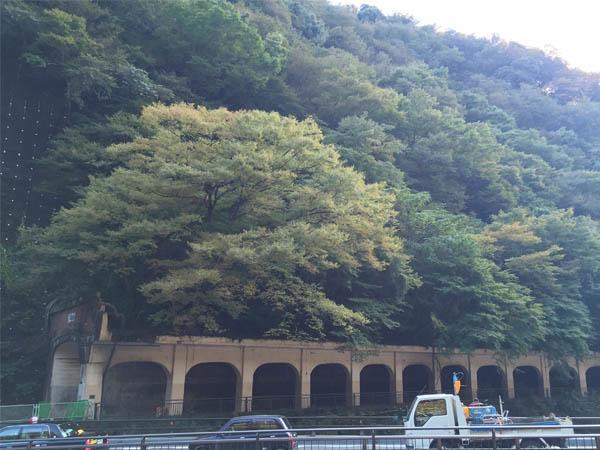 箱根 马斯托米旅馆酒店 外观 照片